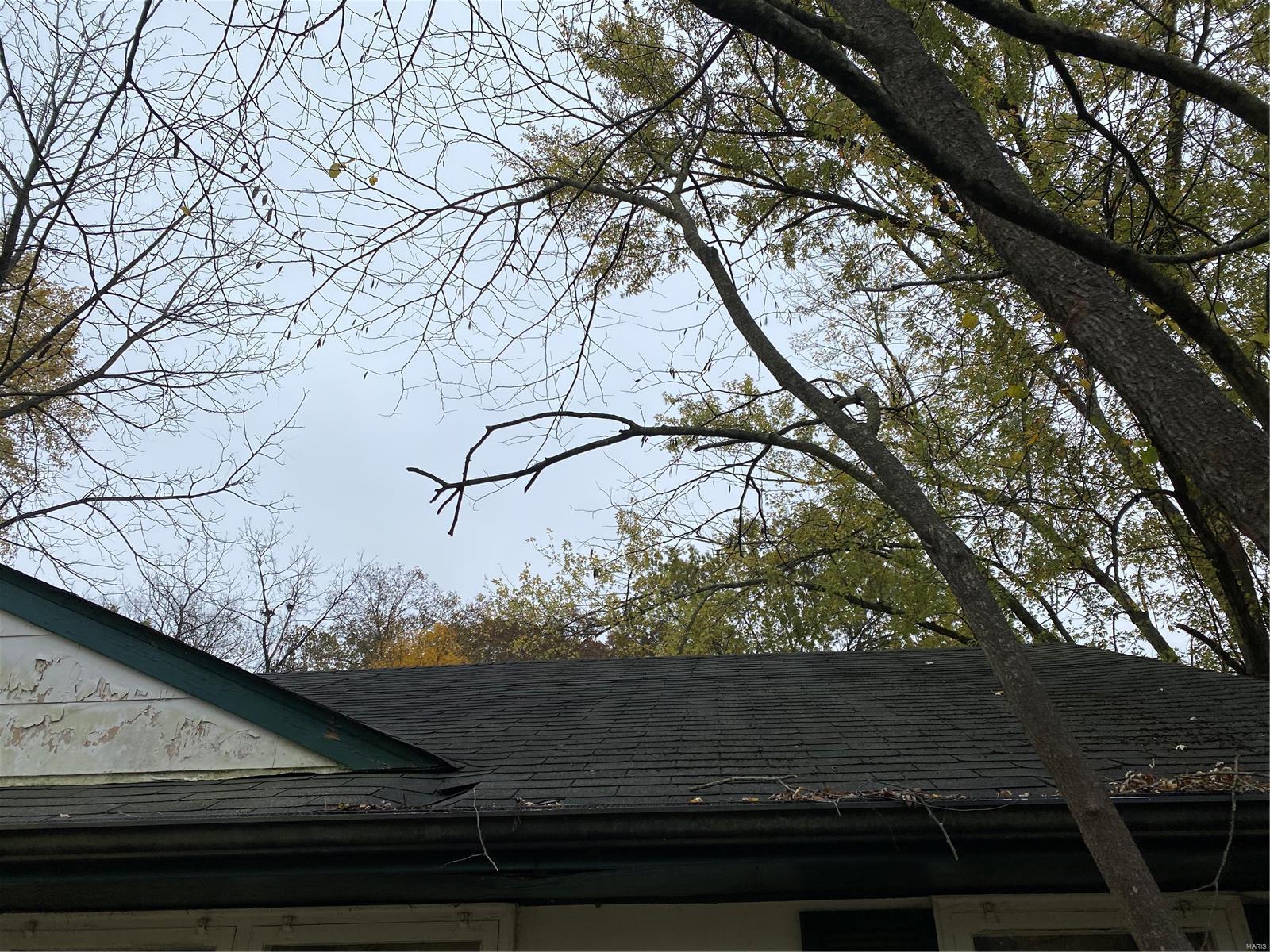 Archer Park - Residential