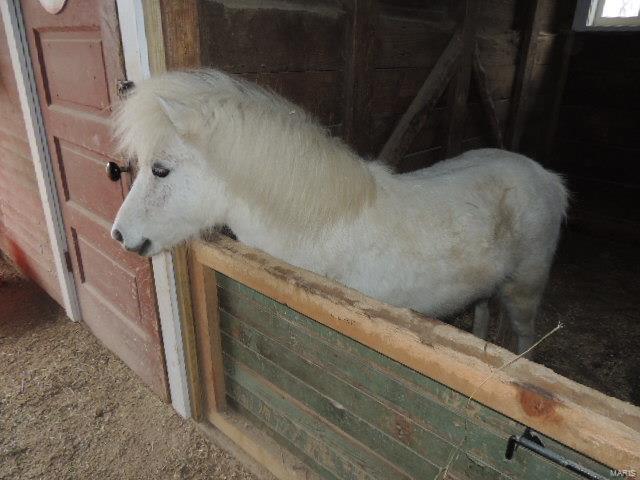 Lindeman - Residential