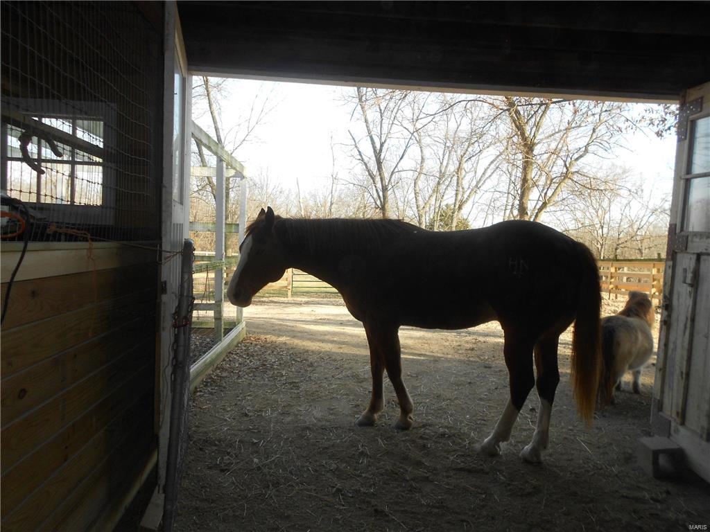 Lindeman - Residential