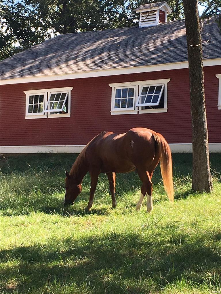 Lindeman - Residential