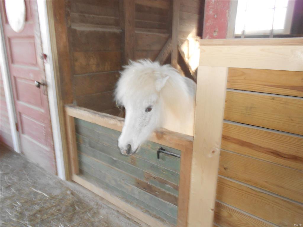 Lindeman - Residential