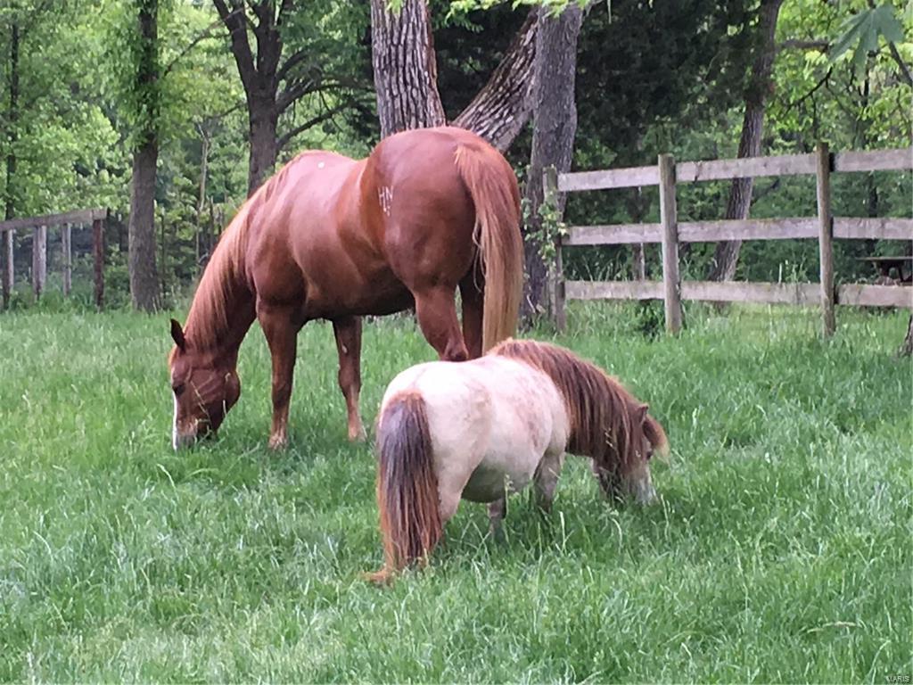 Lindeman - Residential