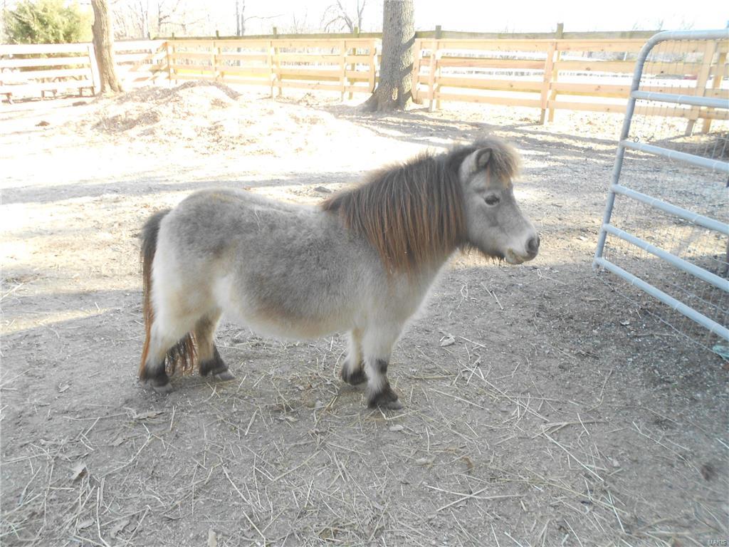 Lindeman - Residential