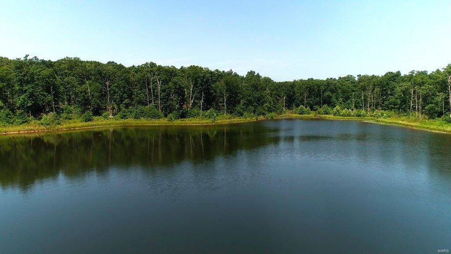 SE Missouri’s Bollinger County is home to some of the most scenic properties the Show-Me state has to offer. Thru out most of this region you'll find vast amounts of contiguous hardwood forests dotted w/open areas that are largely used for pasture & cattle. Clear running streams are common & part of the allure to this region. Every now & then, you run into a property that has a bit of everything. This 389.16+/- acres is located just out of the small town of Grassy & has a nice stocked pond with a small cabin. If 389+/- acres is too much, property can be split into 2 tracts. North tract will have more open areas & will consist of 168+/- acres; south tract will be 221+/- acres & will have the stocked pond & cabin.
Absolute Auction: 08/13/2022 10:00 am - New Bethel Church W of Hwy 51 on Rte OO, Marble Hill MO. 
BUYERS PREMIUM: 5% Buyer’s Premium will be added to final bid & inc in deed transaction sale price.
DOWN PAYMENT: 15% down payment on day of auction w/balance in cash at closing SpecialListingConditions: Possible Auction