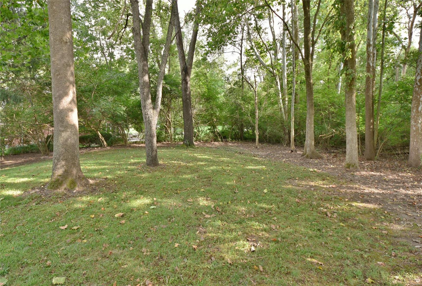 Ladue Aire Estate - Residential