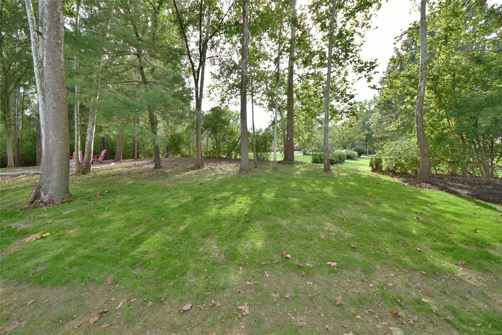 Ladue Aire Estate - Residential