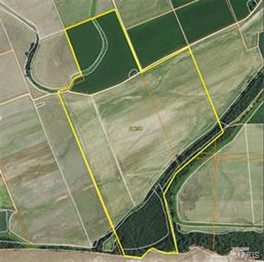 The property is located in Callaway County. There is more or less 286 acres of prime river bottom land south of Steedman Missouri at the intersections of county roads 465 and 462 just off Highway 94.  There are approximately 235 acres of tillable ground.  This is a rare piece of property to be available. The property has been in the family for numerous years and will certainly be a great long term investment. It is highly productive and has very well maintained.