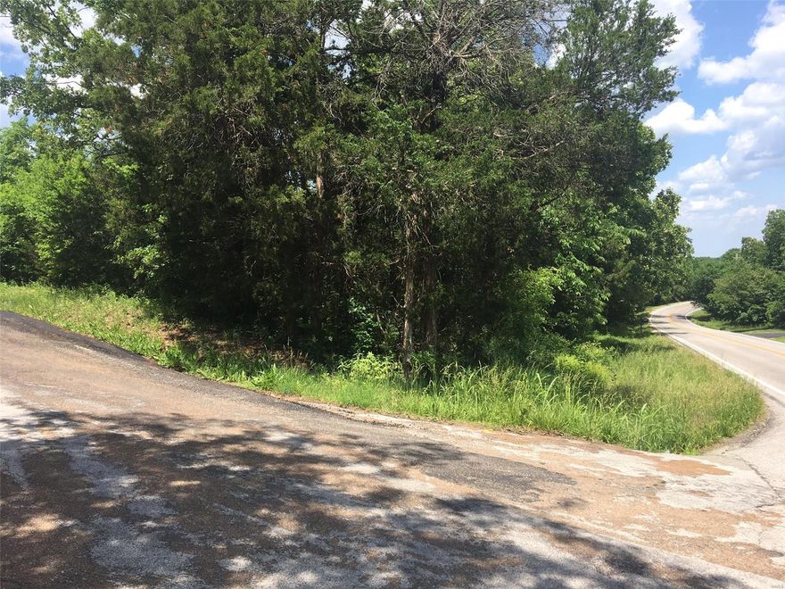 31 ACRES +/- just outside De Soto city limits on the corner of Stonehouse Road (dual frontage). This property has over 1/2 mile frontage on Stonehouse County Road. Excellent Parcel to subdivide and make 10-three acre tracts. Call for Plat and aerial. Will not subdivide.