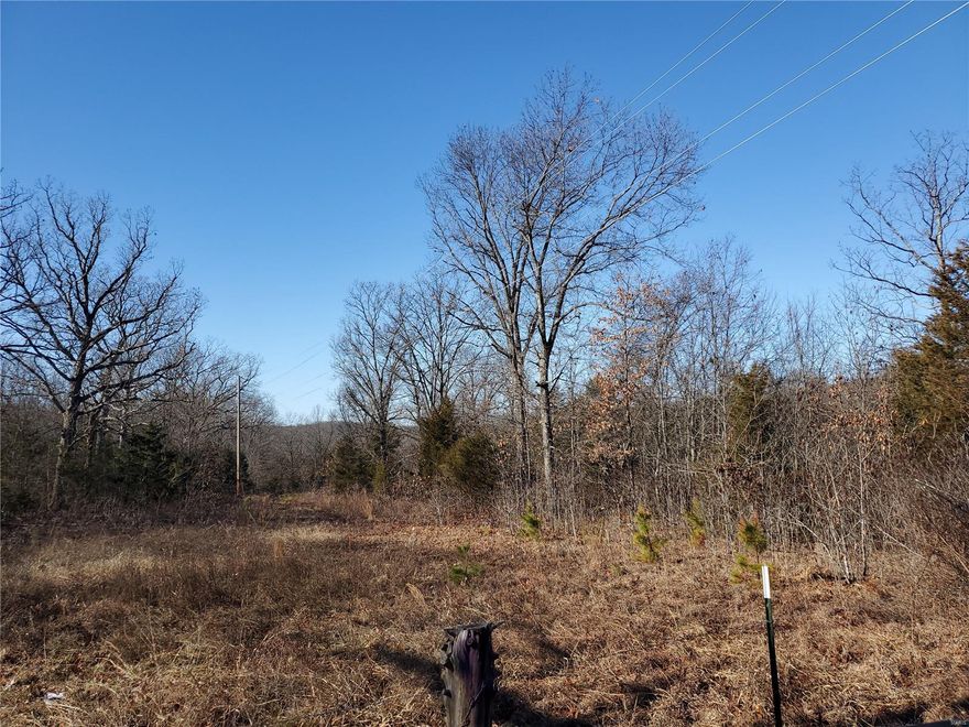 40 ACRES m/l, BLACKTOP ROAD with ELECTRIC! Rare find, mostly wooded parcel with privacy, 2 miles from Bismarck, 10 minutes from Hwy 67! Mostly fenced, private area of well maintained properties.  Looking to build or play - this property is near Buford Mountain Conservation area, Bismarck Lake, & many other natural features! Hurry - if you like it in winter, you will LOVE IT the other 3 seasons! Approx 1350 foot of black top road frontage, almost square layout.