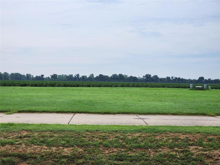 This vacant residential lot is ready for you to build on, and priced to help you get started quickly.  Covenants and restrictions are in place to help protect your investment.  Located inside Sikeston City Limits. Additional Rooms: In Platted Subdv.