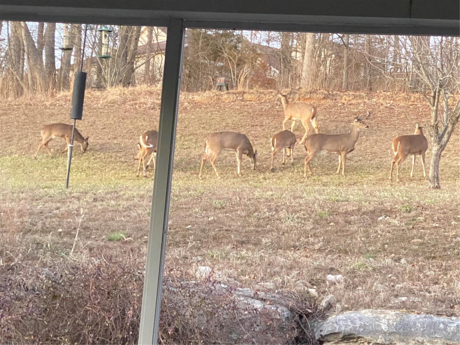 Walden Ridge One - Residential