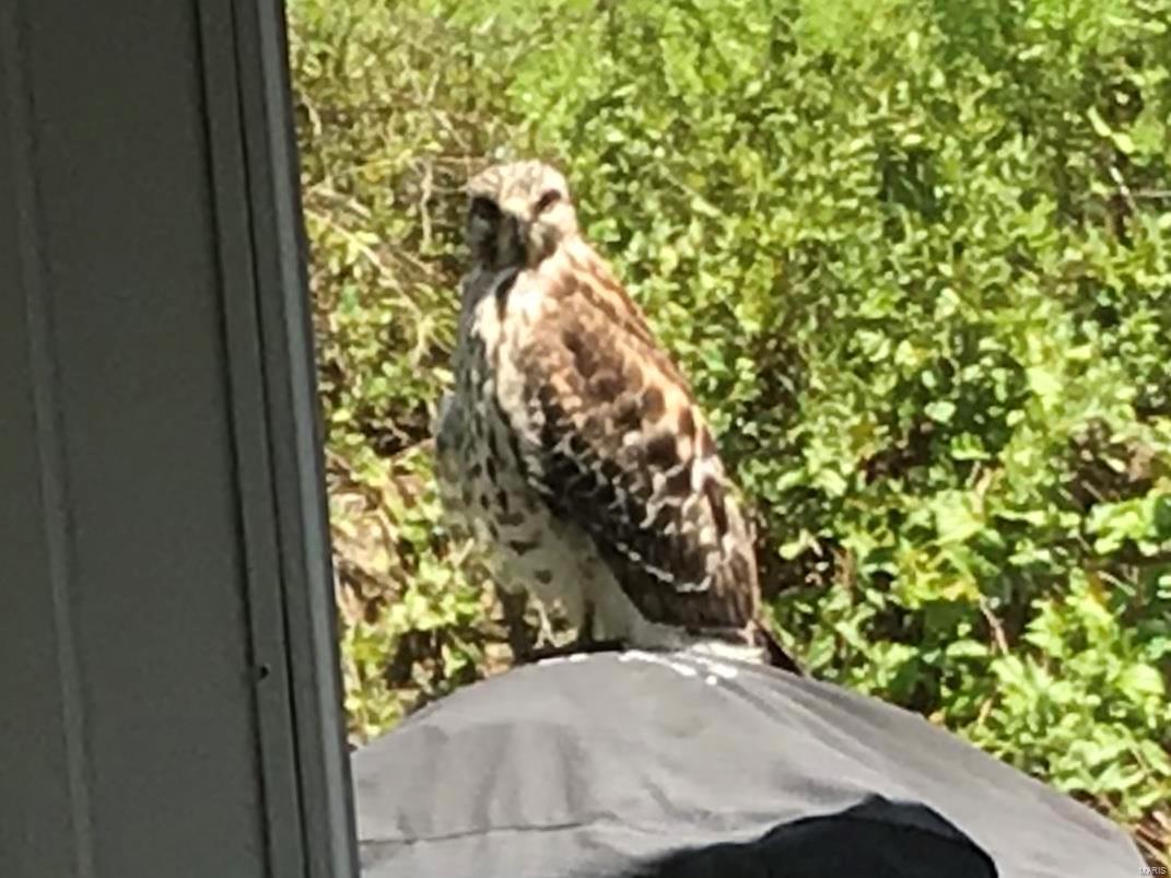 Walden Ridge One - Residential