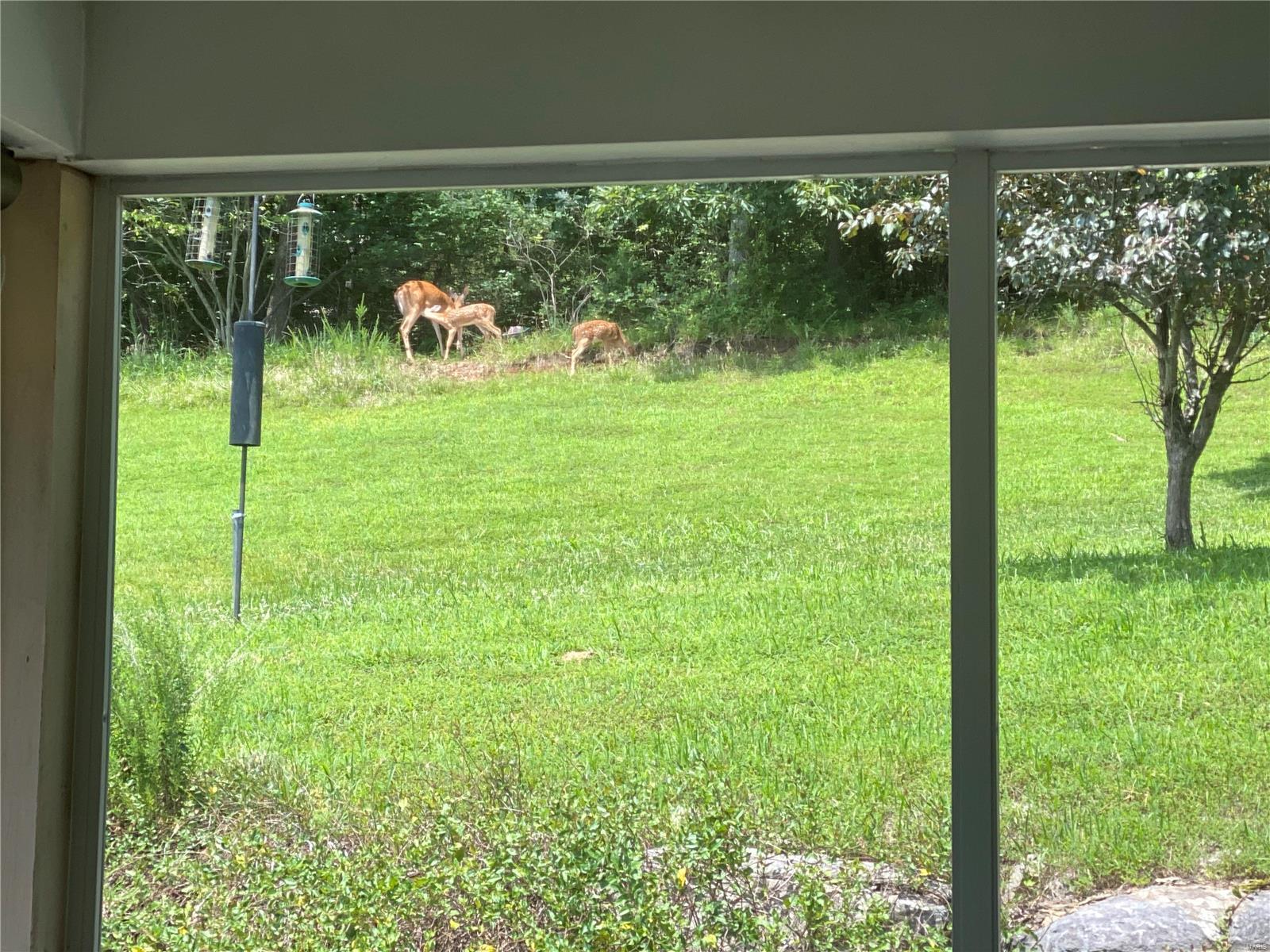 Walden Ridge One - Residential