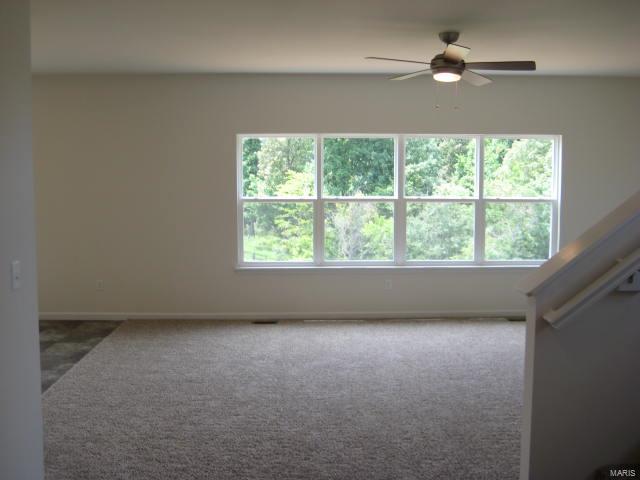 Brook Ridge Estates - Residential