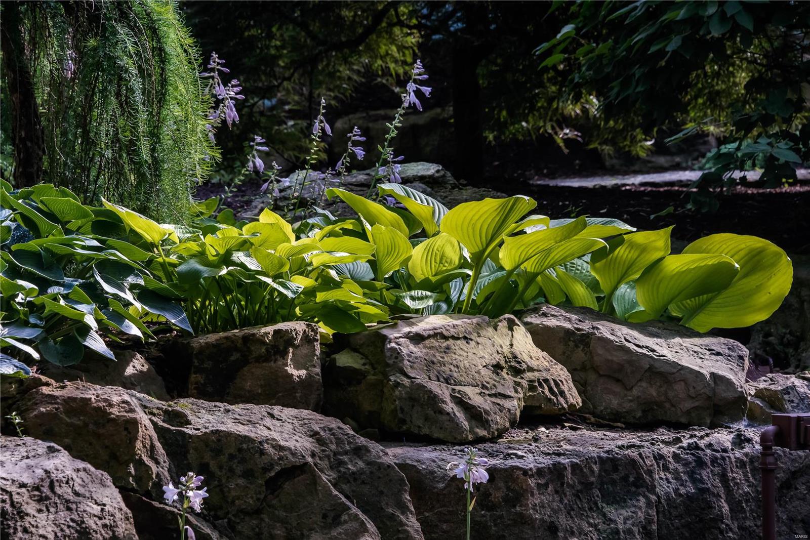 La Hacienda - Residential