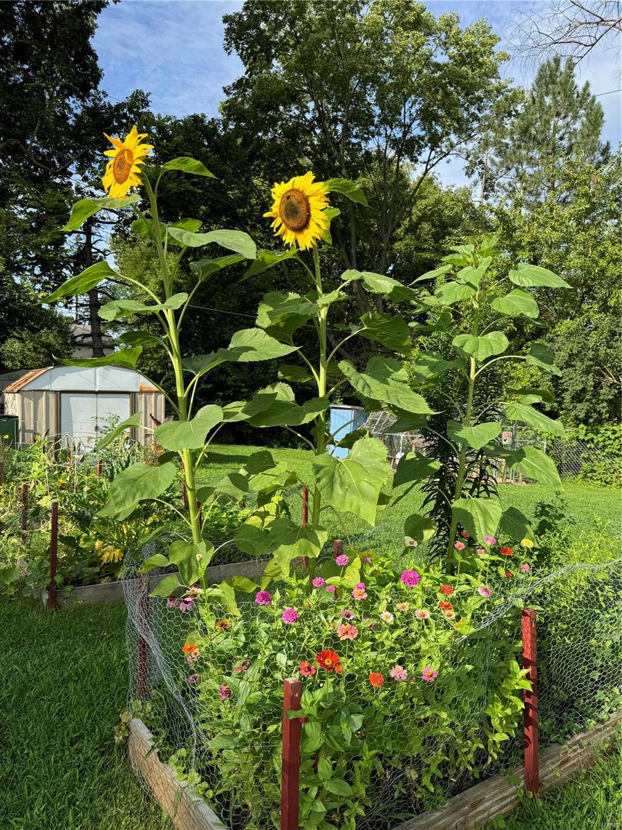 Lindenwood park - Residential