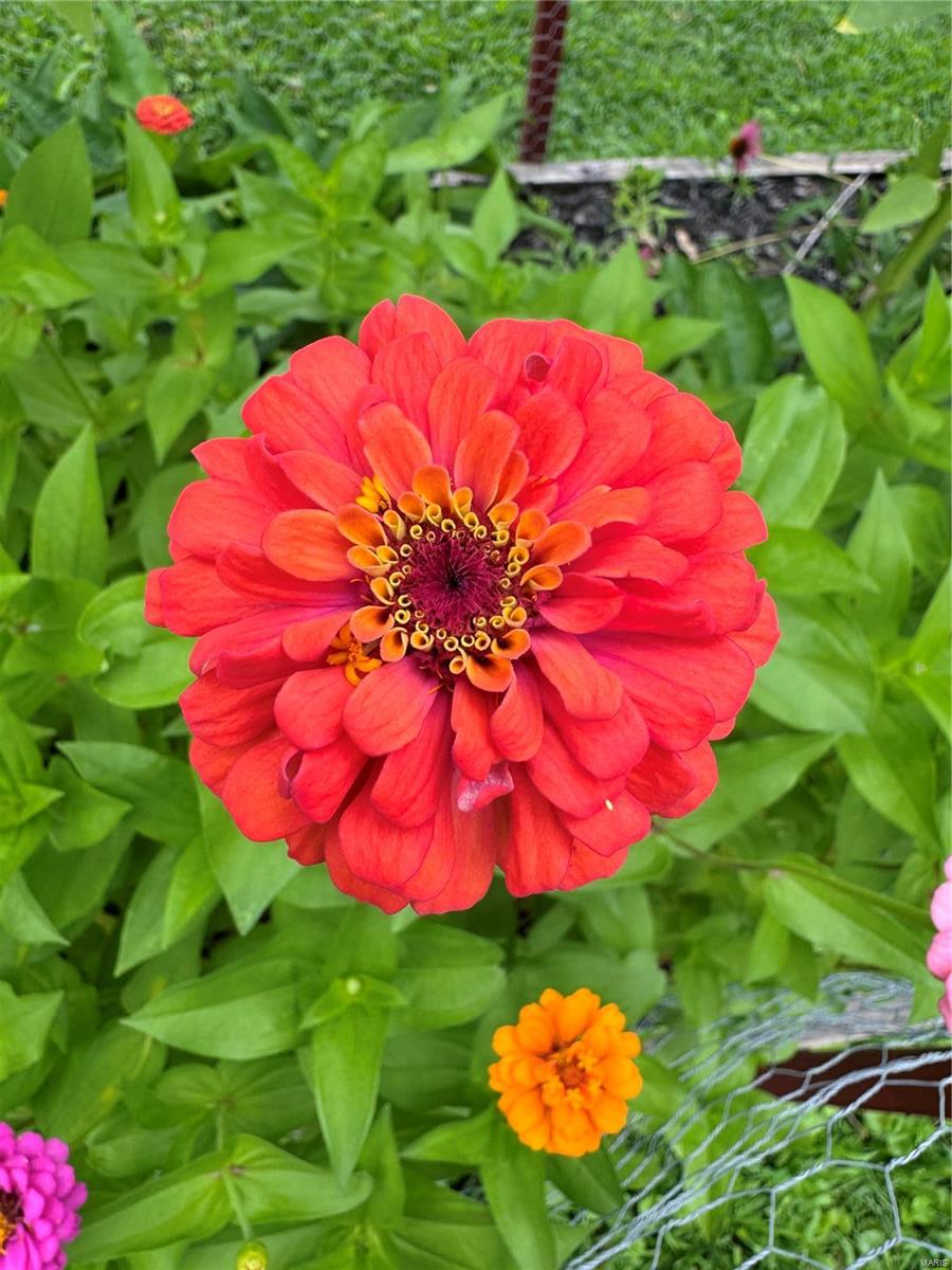 Lindenwood park - Residential