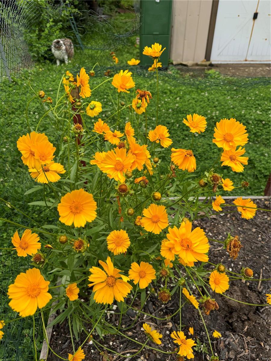 Lindenwood park - Residential