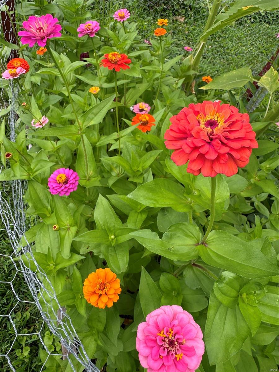 Lindenwood park - Residential