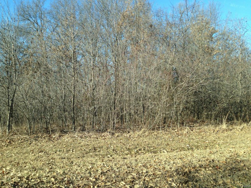 Tall Oaks - Land