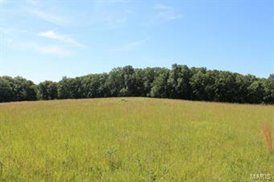 This 194.45 +/- acres offers a nice combination of open & wooded ground. In a great location with frontage on State Hwy F. Ideal for farming with old farmhouse, several outbuildings and ponds. Excellent for development with gently rolling fields and lots of road frontage. Great for turkey and deer hunting too. Joins Innsbrook on south side. * The property is currently income producing with this years crops going to the sellers.