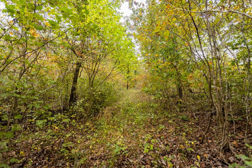 NA - Commercial Sale