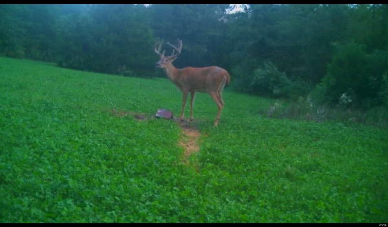 Cornerstone Farms - Residential