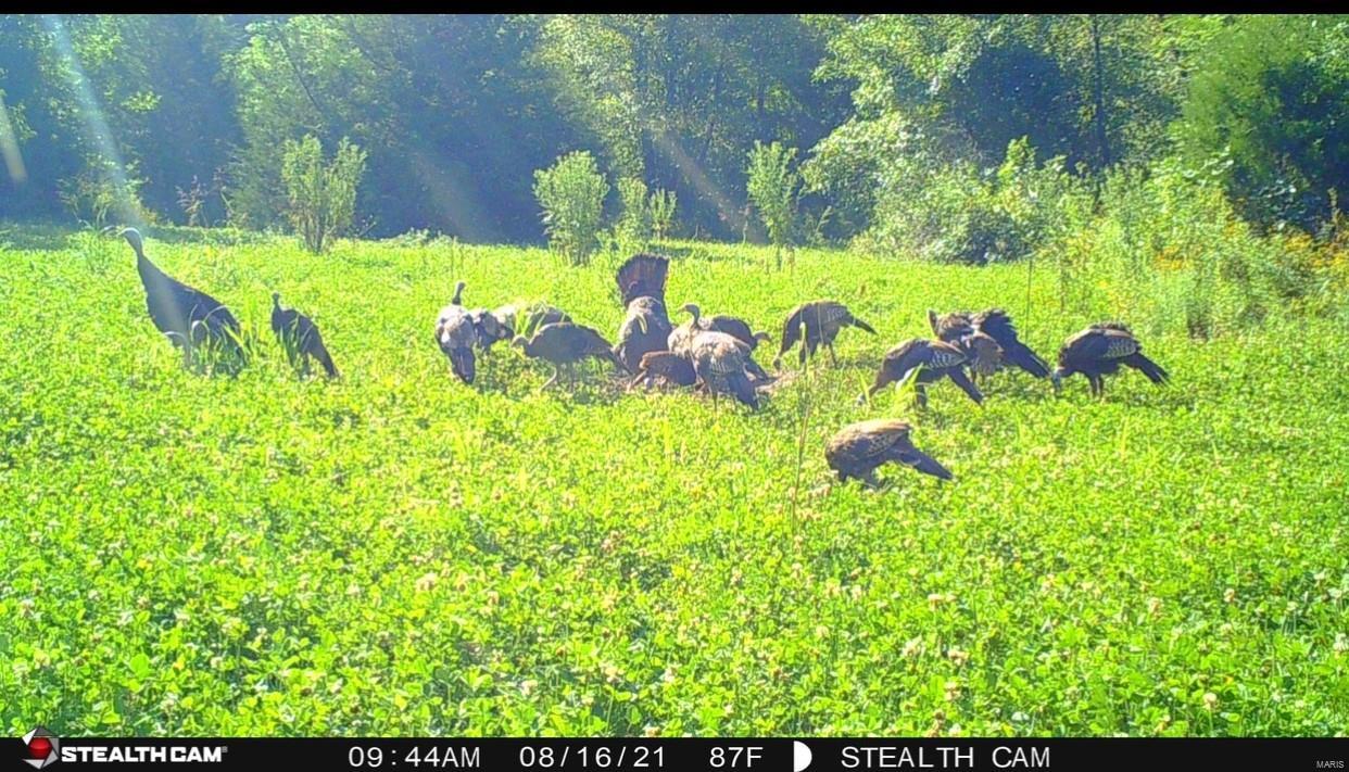 Cornerstone Farms - Residential