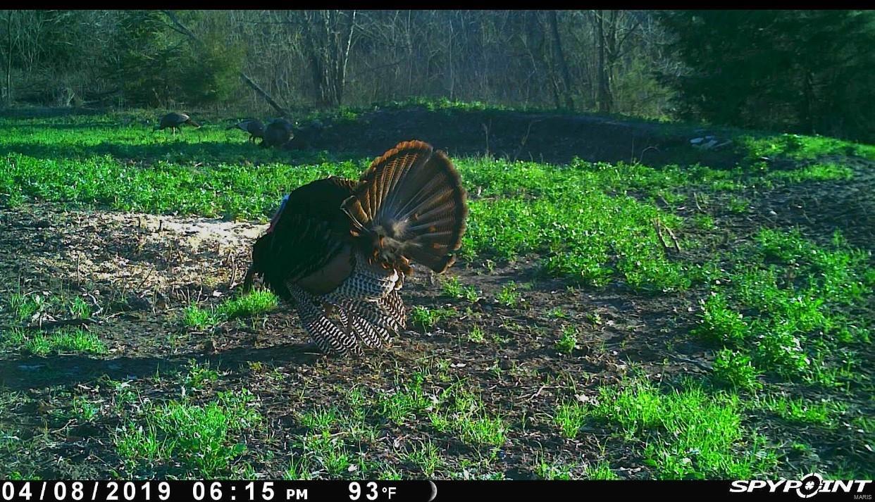 Cornerstone Farms - Residential