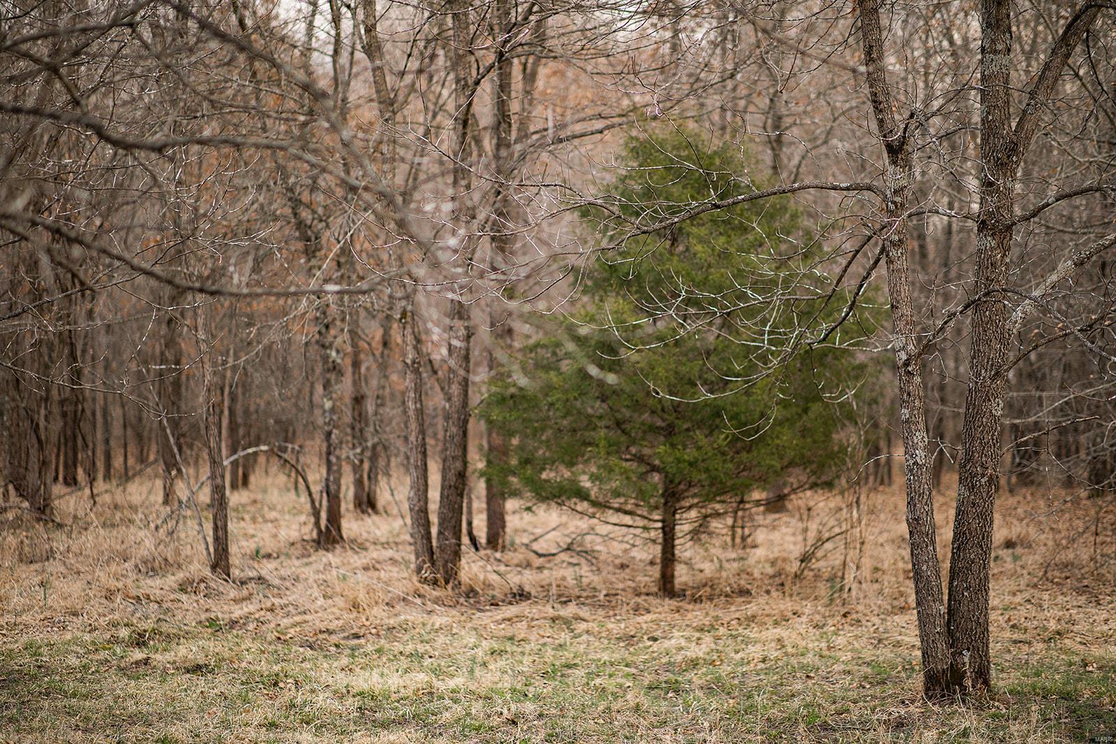 Cornerstone Farms - Residential