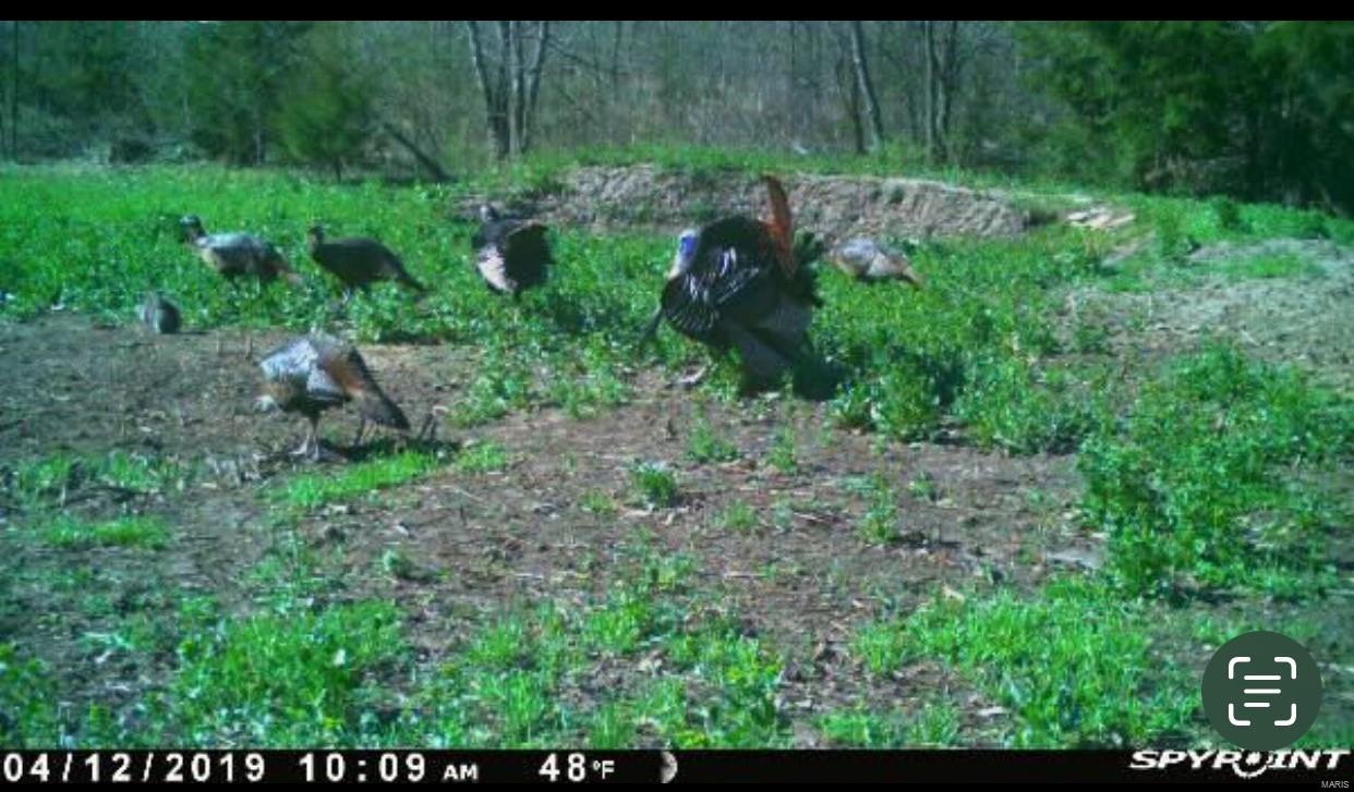 Cornerstone Farms - Residential