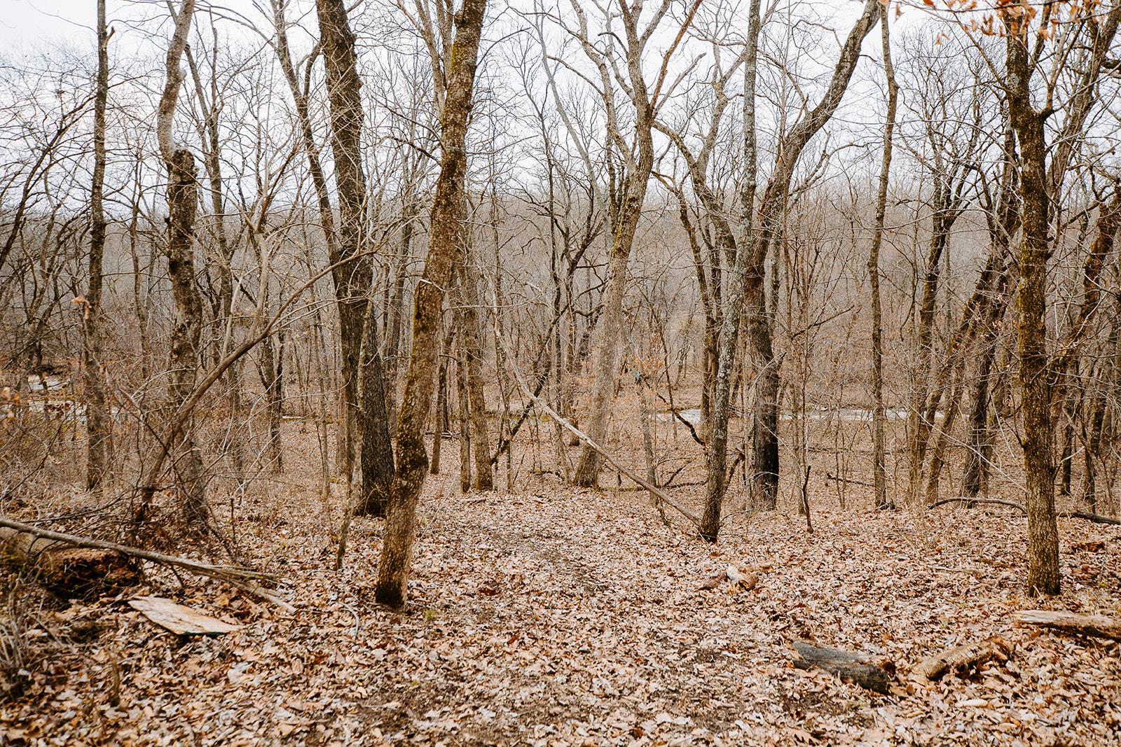 Cornerstone Farms - Residential