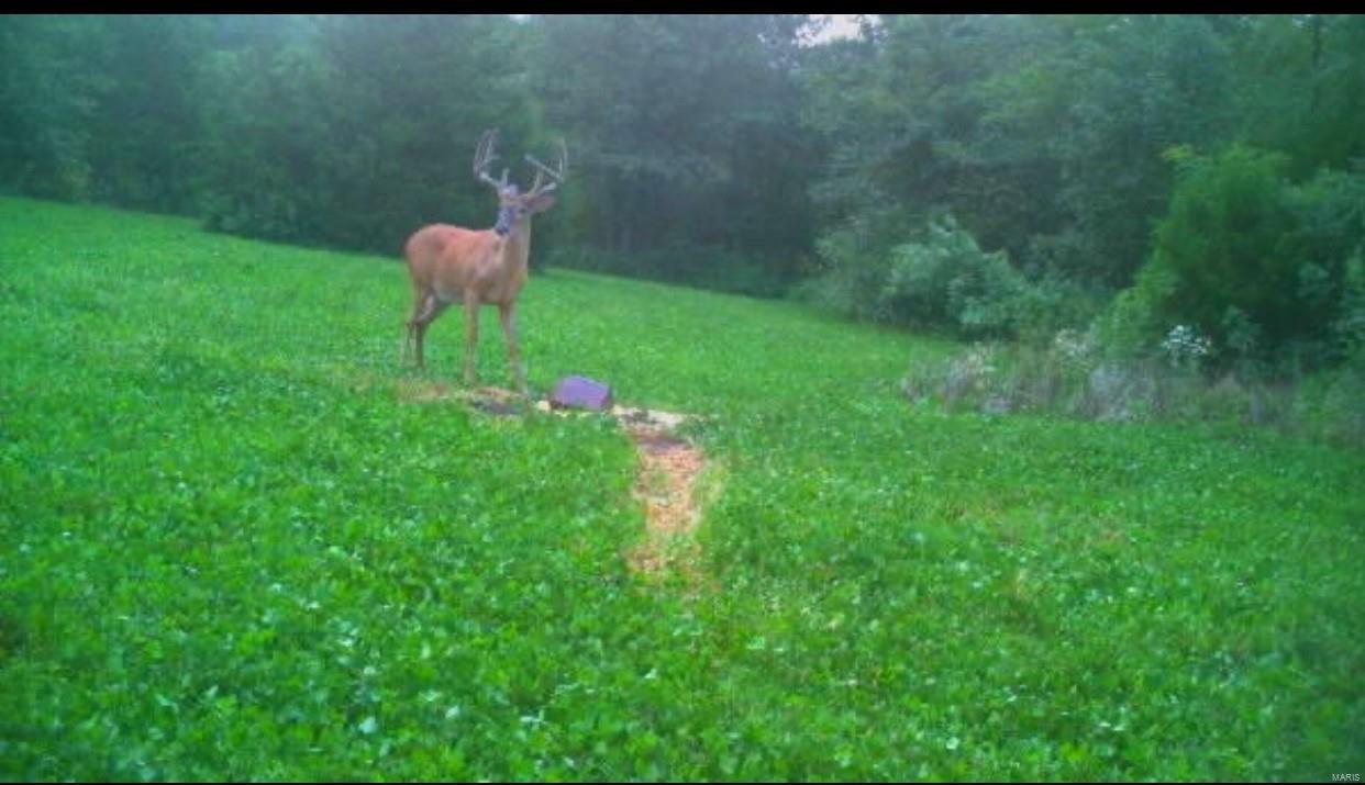 Cornerstone Farms - Residential