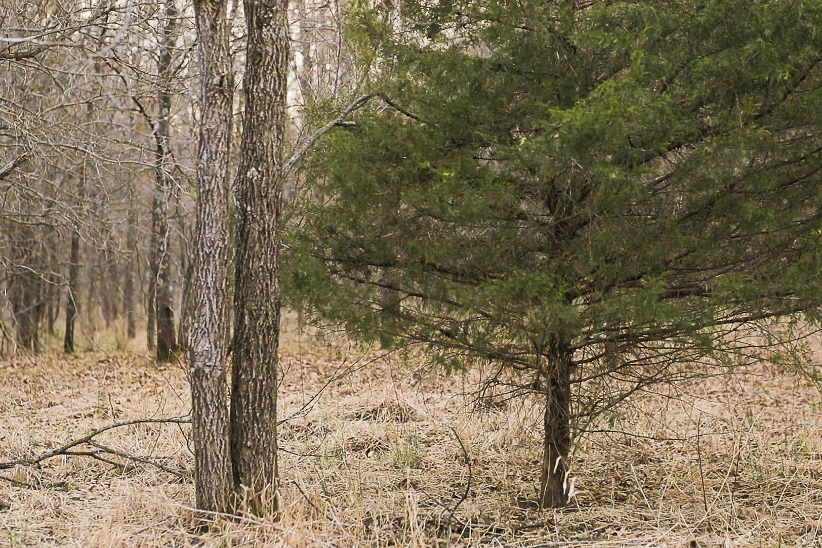Cornerstone Farms - Residential
