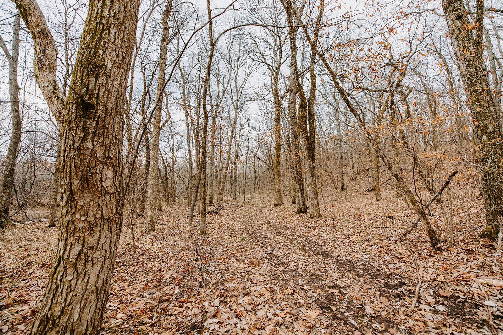 Cornerstone Farms - Residential