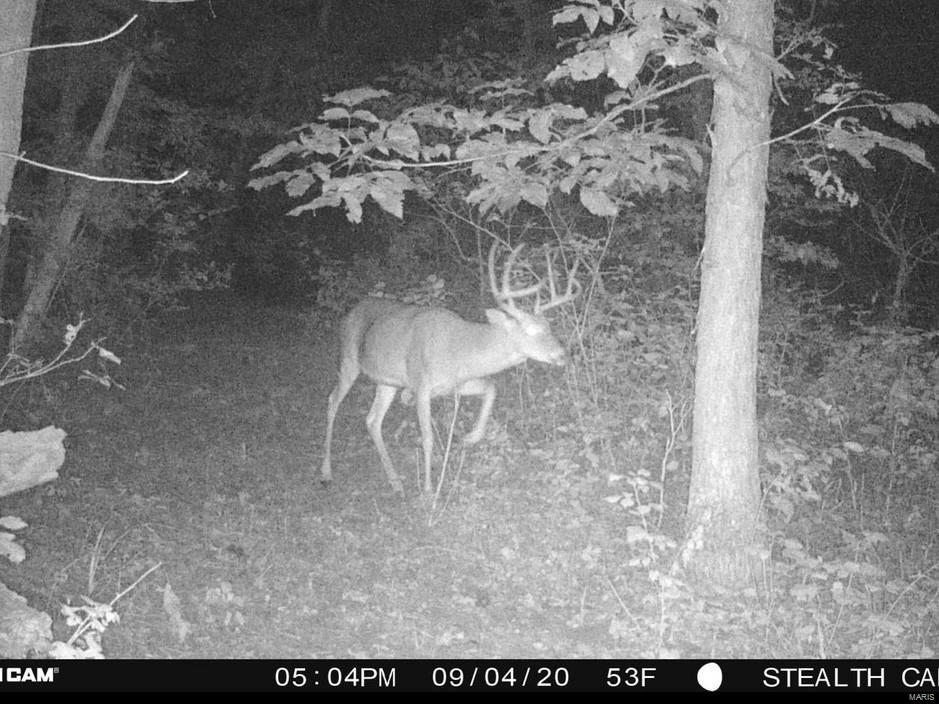 Cornerstone Farms - Residential