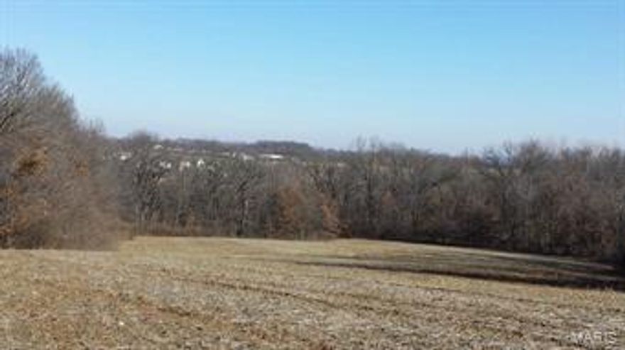 102+/- Acres of beautiful rolling hills South of Troy that offers many future development possibilities.  Property adjoins Crooked Creek subdivision, future site of new Troy Middle School and park.  Troy city sewer and water is available to property.  Nice mix of open crop ground and timber offers farm income.  Crooked Creek runs through property.  Great site for single residence with livestock & horses or residential development.