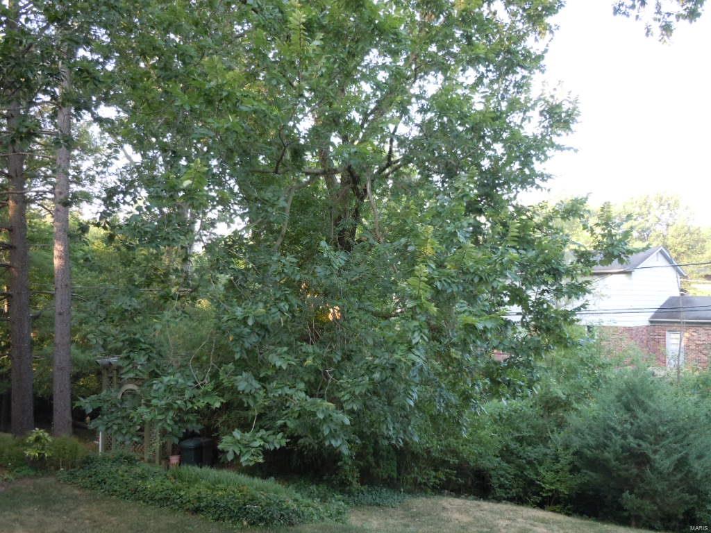 Towne South 4 - Residential