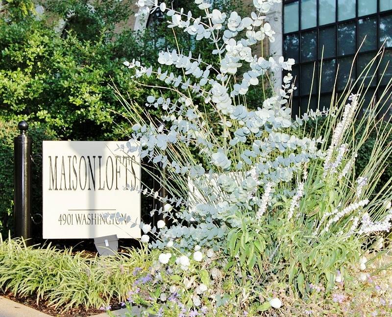 Maison Lofts - Residential