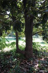 Merry & Oneils/Hillsboro Add - Commercial Sale