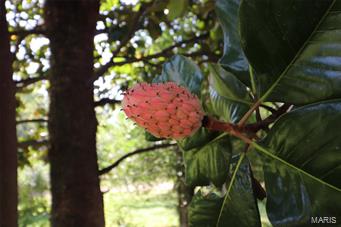 Merry & Oneils/Hillsboro Add - Commercial Sale