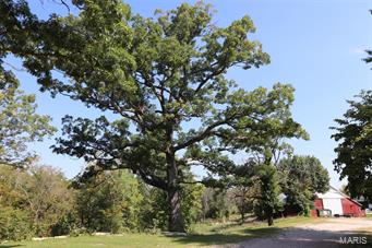 Merry & Oneils/Hillsboro Add - Commercial Sale