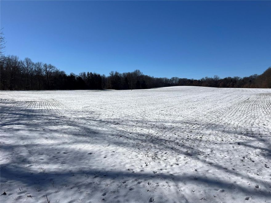 Here it is! Combination farm located just outside of Troy, MO. Farm offers privacy, income, hunting and much more! Two fields currently leased and in wheat. Southern acreage setup with numerous trails and 360 degree views. This area is known for mature whitetail and trophy turkey hunting. The wildlife on this farm is truly impressive! Several beautiful home sites and seclusion. Easy commute to Hwy 61,40 and 70. Why drive all day to get to the farm when this one is right here close to town and ready to enjoy! 30 ft recorded easement on lane w/ only one full time residence. Cuivre River Electric near by. Deer stands are excluded from sale. Deed restrictions to be recorded with the deed at closing of no solar farms, no trailer or RV parks, no commercial hog confinements, no junk yards, no dump or waste sites, no race tracks, no single or doublewides.