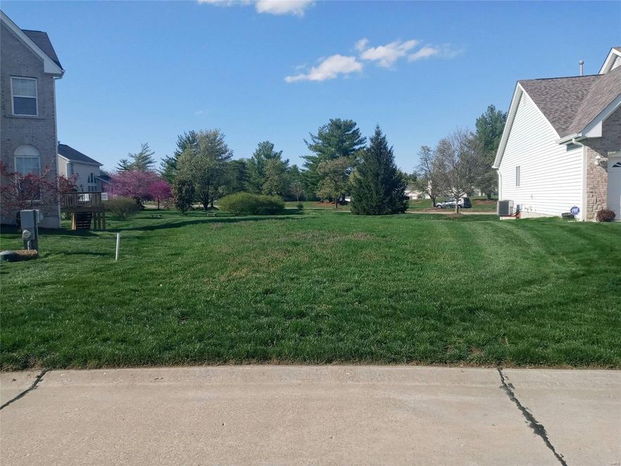 You can't go wrong with this incredible price for a great opportunity to custom build a home in this established, well maintained neighborhood.  All utilities on site, excellent infrastructure in place.  Utilities already in place.  Neighborhood has a club house with tennis courts and 2 swimming pools. The HOA covers all external maintenance including lawn mowing, snow removal and trash pick up in this Planned Environment Unit (PEU).  NO HOA fees until structure is built.  

Villages at Barrington Downs   https://barrington-downs.com/  
Bylaws    https://barrington-downs.com/goverance 
Architectural Controls   https://barrington-downs.com/architectural-control