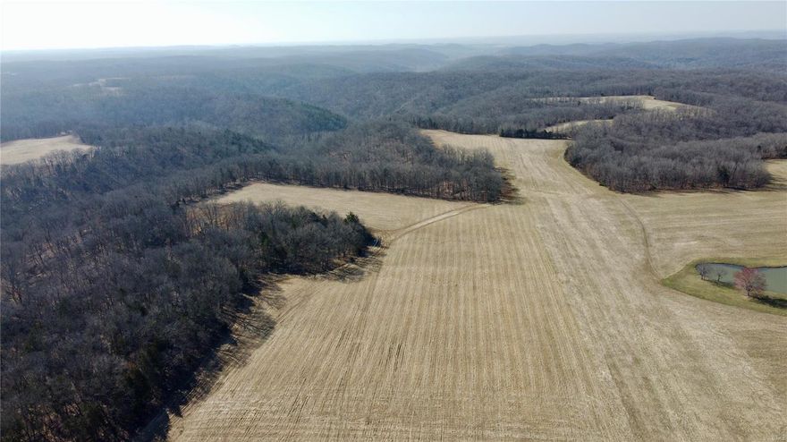 Welcome to a getaway to let your imagination run wild. This farm sets at a dead end road with a newly constructed road onto the farm. Electric is being added to the farm as well along the new road in. There is just over 110 acres of open ground that was in tillable last year. Was just vertical tilled and seeded. As you come in to the farm you start to see the open ground with the beautiful hardwood edging the fields. As you head further back into the farm you will see the land is rolling hills with some bigger terrain in the timber. There are many sites for building that getaway cabin or your future forever home. Several creeks line the edge of the property with a pond as well. A farm like this has so many possibilities. Along with the beautiful land it is filled with wildlife. Lined with deer and turkey this truly is a perfect recreational hunters paradise to hold and grow deer. Seller is willing to divide the land into smaller lots ranging from 50-80 acres.