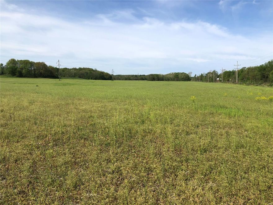 Great opportunity with this tillable farm in Pike County located 3.5 miles from Hwy 61 and just off Hwy 54. Farm offers 56+ tillable acres, small pond, small patch of timber and Noix Creek runs thru West part of farm. Fields lay well and great combination farm with income. Road frontage on 2 sides, rural water on County Road.