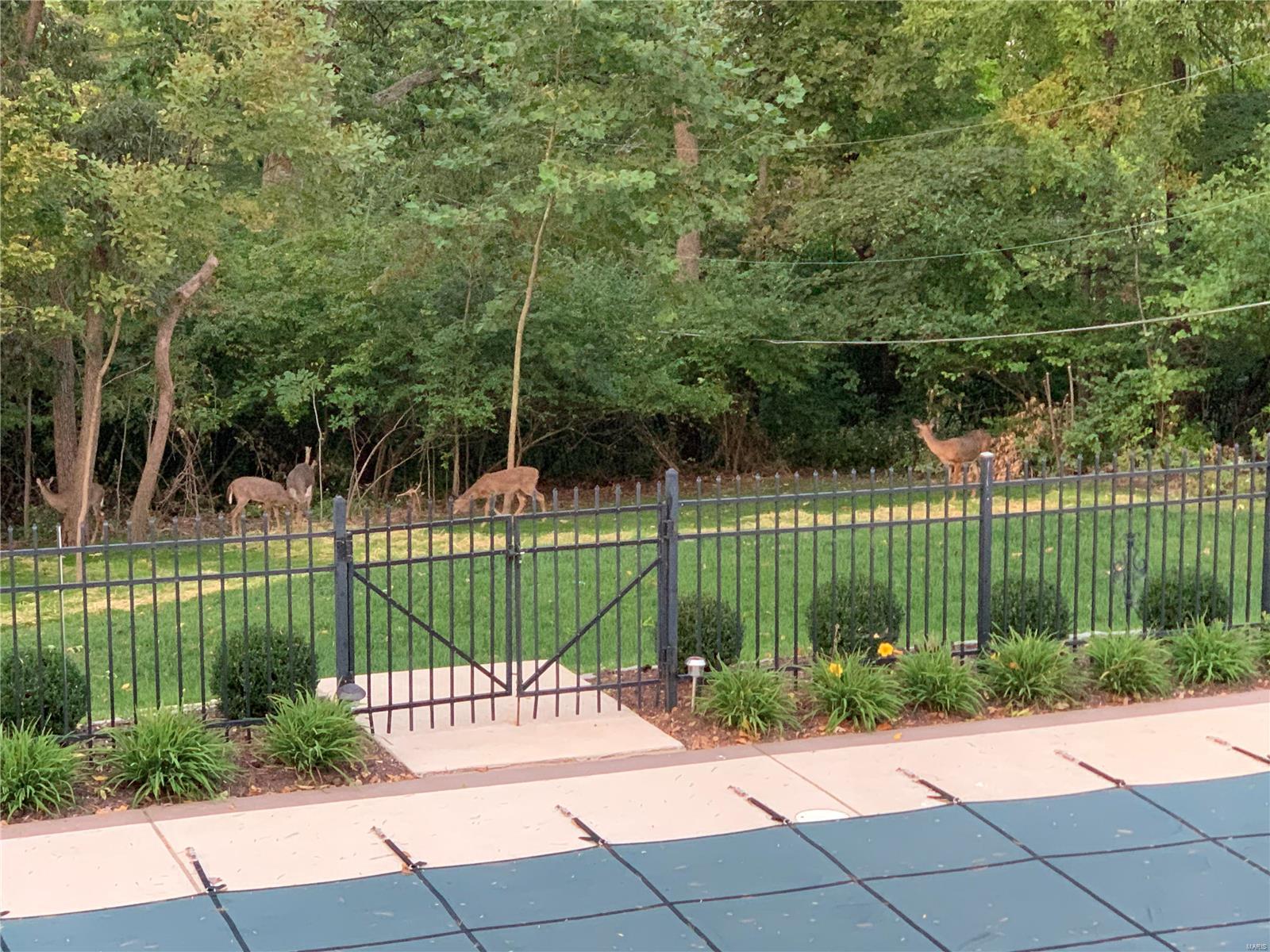 High Meadow Road - Residential