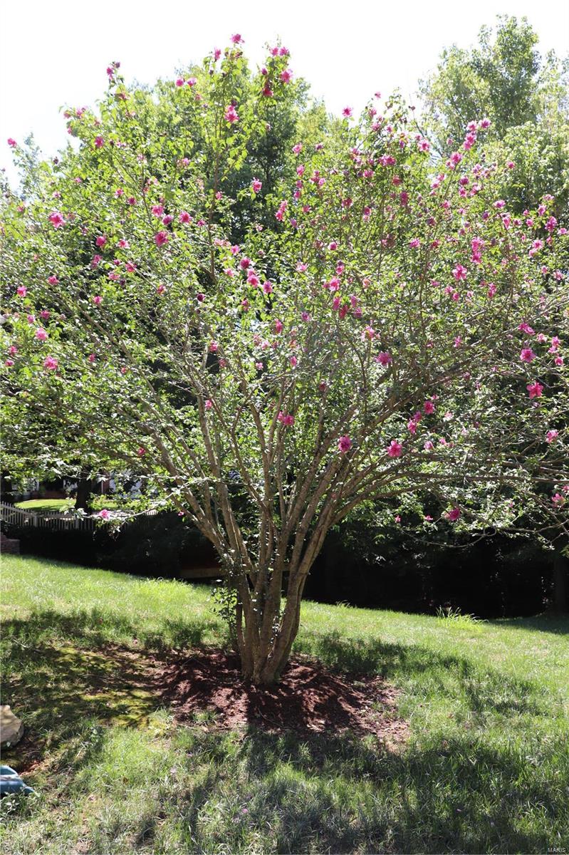 Red Maple Farm - Residential