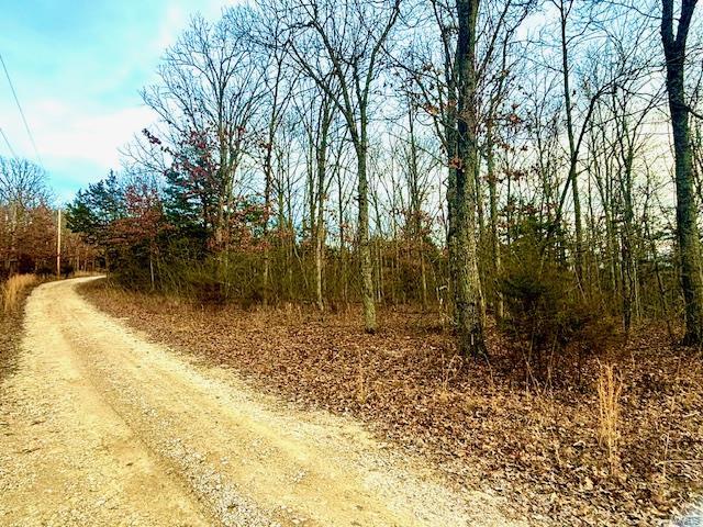 Twin Fawn Estates - Land