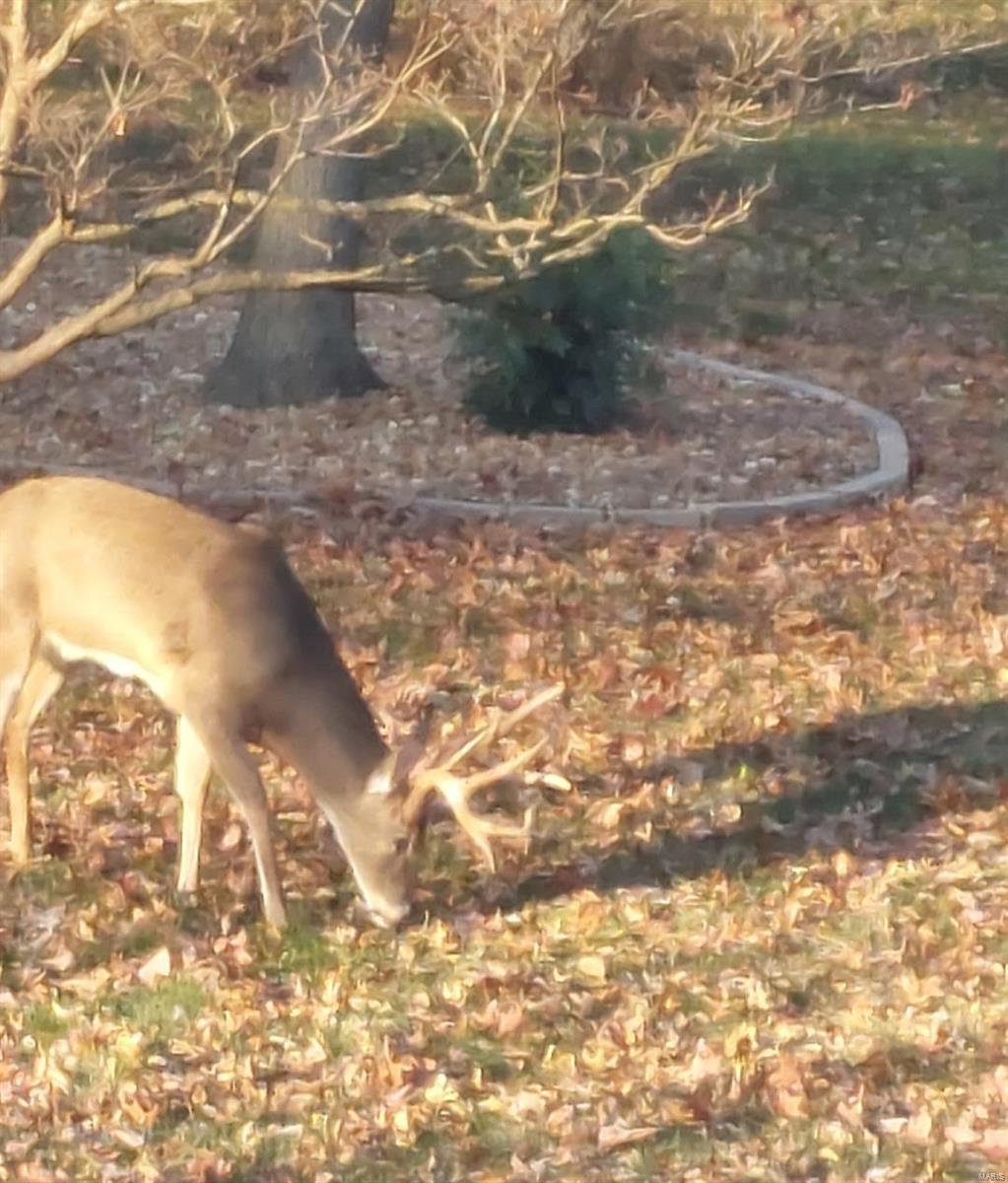 Ballwin, Missouri 63011, United States, 3 Bedrooms Bedrooms, ,2 BathroomsBathrooms,Residential,Pending,25757